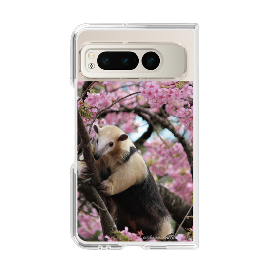 Clear Case［ The Izu Animal Kingdom - Anteater ］