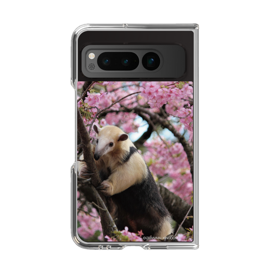 Clear Case［ The Izu Animal Kingdom - Anteater ］