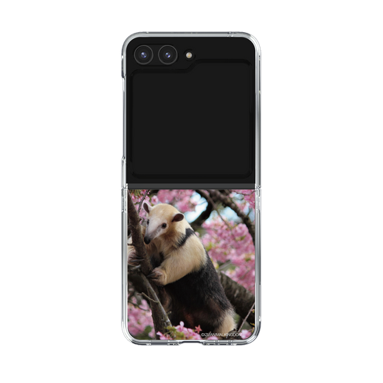 Clear Case［ The Izu Animal Kingdom - Anteater ］