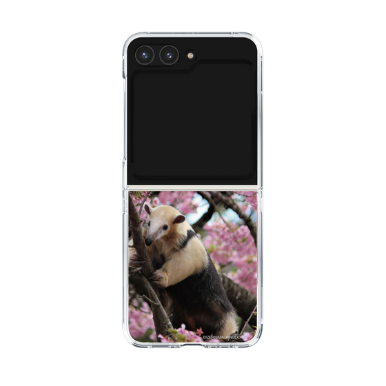 Clear Case［ The Izu Animal Kingdom - Anteater ］