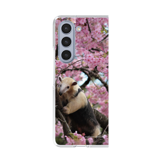Clear Case［ The Izu Animal Kingdom - Anteater ］