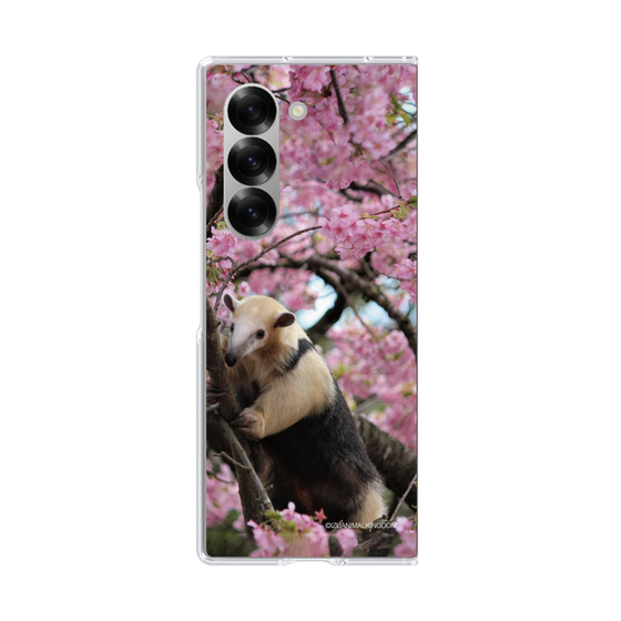 Clear Case［ The Izu Animal Kingdom - Anteater ］