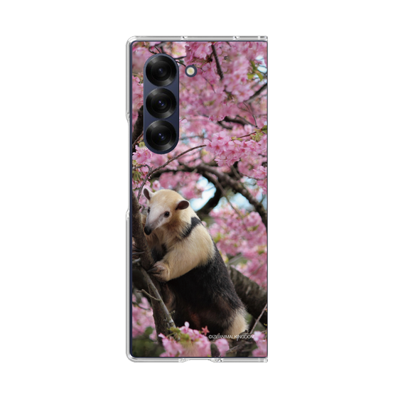Clear Case［ The Izu Animal Kingdom - Anteater ］