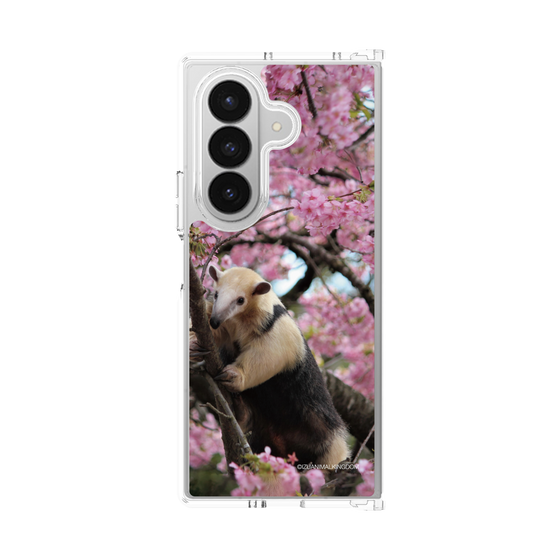 Clear Case［ The Izu Animal Kingdom - Anteater ］