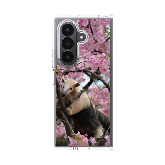 Clear Case［ The Izu Animal Kingdom - Anteater ］
