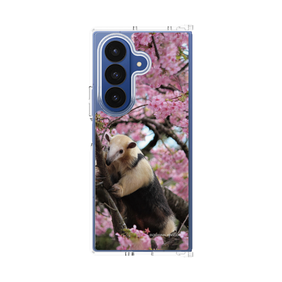 Clear Case［ The Izu Animal Kingdom - Anteater ］
