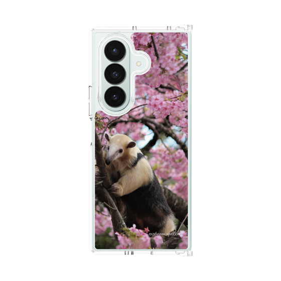 Clear Case［ The Izu Animal Kingdom - Anteater ］