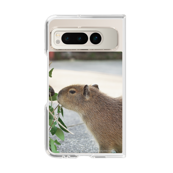 Clear Case［ The Izu Animal Kingdom - Capybara ］