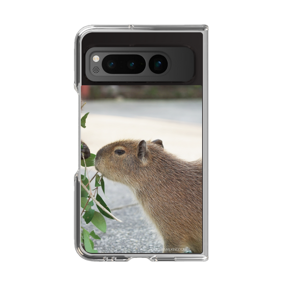 Clear Case［ The Izu Animal Kingdom - Capybara ］