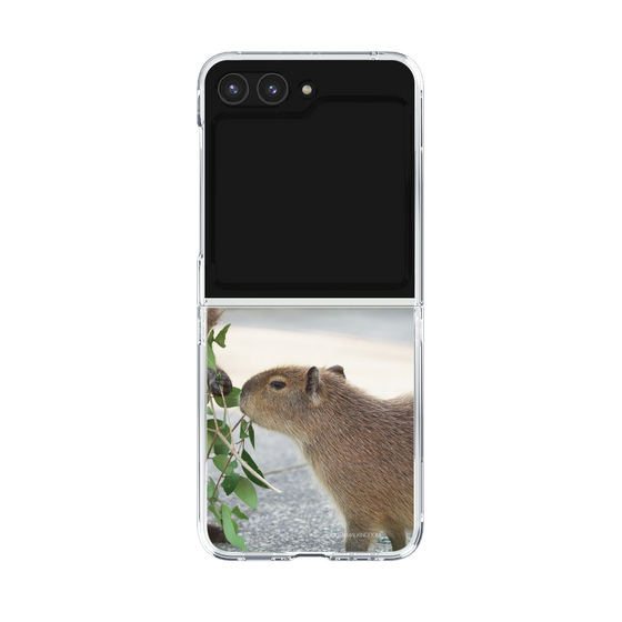 Clear Case［ The Izu Animal Kingdom - Capybara ］