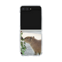 Clear Case［ The Izu Animal Kingdom - Capybara ］