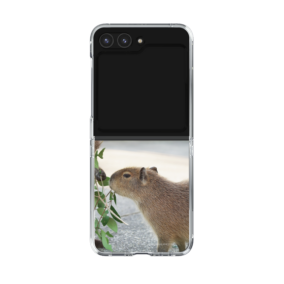 Clear Case［ The Izu Animal Kingdom - Capybara ］
