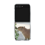 Clear Case［ The Izu Animal Kingdom - Capybara ］