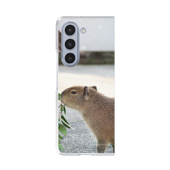 Clear Case［ The Izu Animal Kingdom - Capybara ］