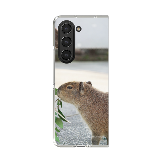 Clear Case［ The Izu Animal Kingdom - Capybara ］