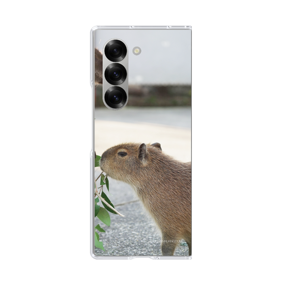 Clear Case［ The Izu Animal Kingdom - Capybara ］
