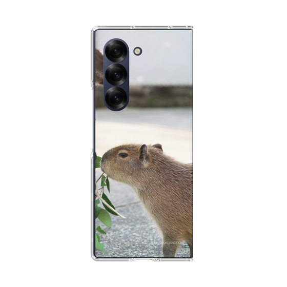 Clear Case［ The Izu Animal Kingdom - Capybara ］