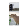 Clear Case［ The Izu Animal Kingdom - Capybara ］