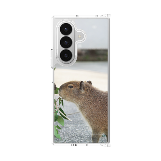 Clear Case［ The Izu Animal Kingdom - Capybara ］