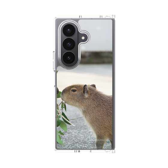 Clear Case［ The Izu Animal Kingdom - Capybara ］