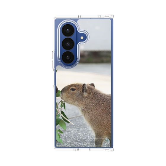 Clear Case［ The Izu Animal Kingdom - Capybara ］