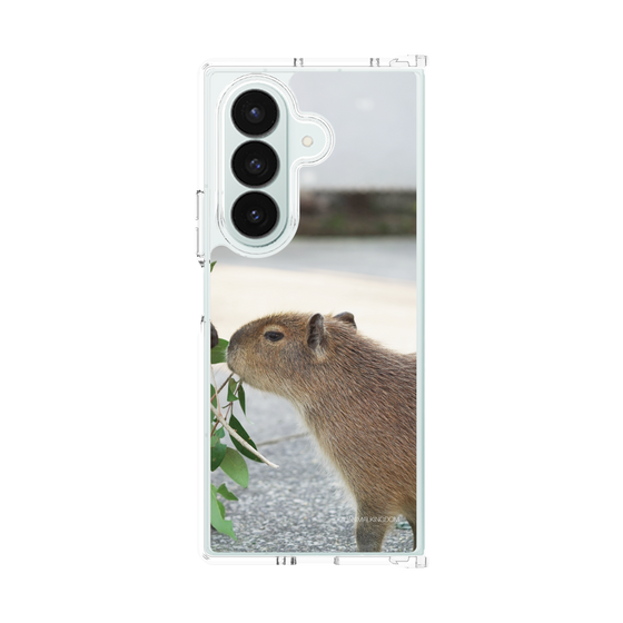 Clear Case［ The Izu Animal Kingdom - Capybara ］