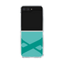 Clear Case［ Original - initial color - X light green ］