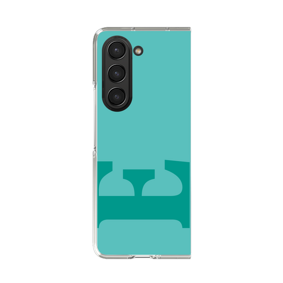 Clear Case［ Original - initial color - E light green ］