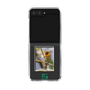 Clear Case［ Green Future Project - Guira Tanager ］