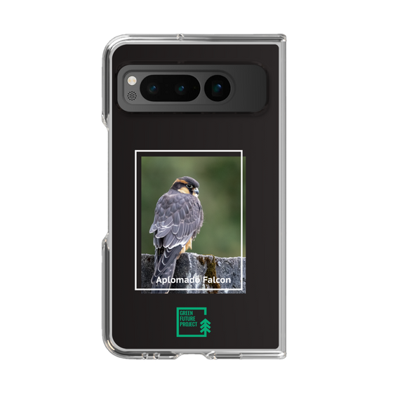 Clear Case［ Green Future Project - Aplomado Falcon ］