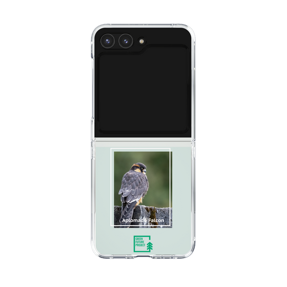 Clear Case［ Green Future Project - Aplomado Falcon ］
