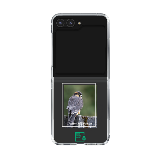 Clear Case［ Green Future Project - Aplomado Falcon ］