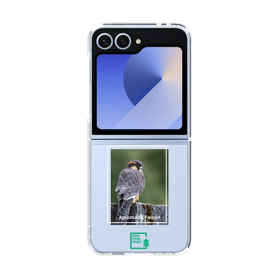 Clear Case［ Green Future Project - Aplomado Falcon ］