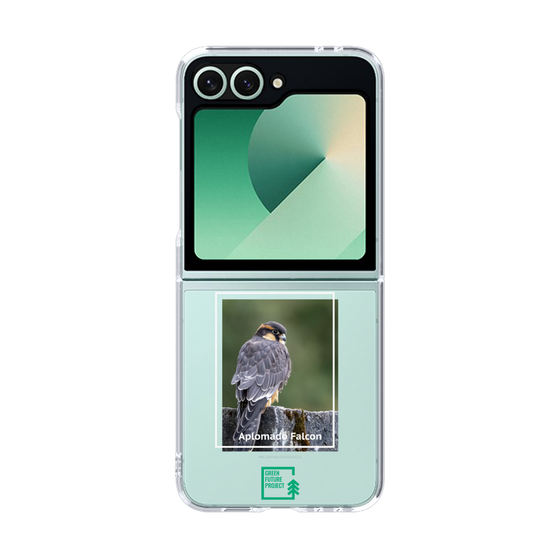 Clear Case［ Green Future Project - Aplomado Falcon ］