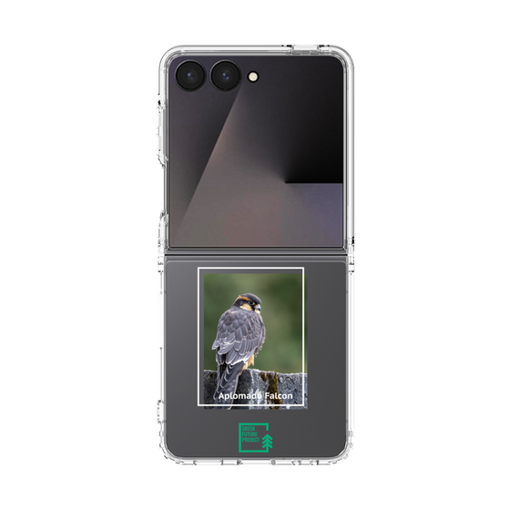 Clear Case［ Green Future Project - Aplomado Falcon ］