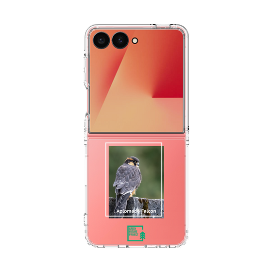 Clear Case［ Green Future Project - Aplomado Falcon ］