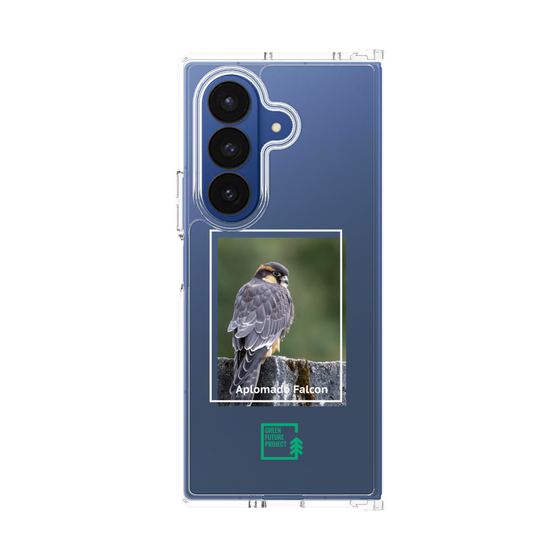 Clear Case［ Green Future Project - Aplomado Falcon ］