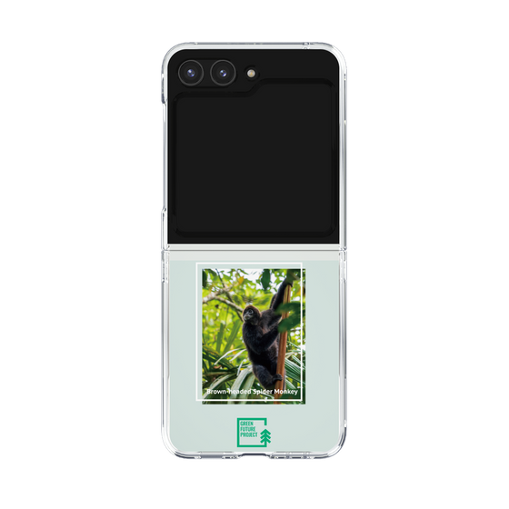Clear Case［ Green Future Project - Brown-headed Spider Monkey ］