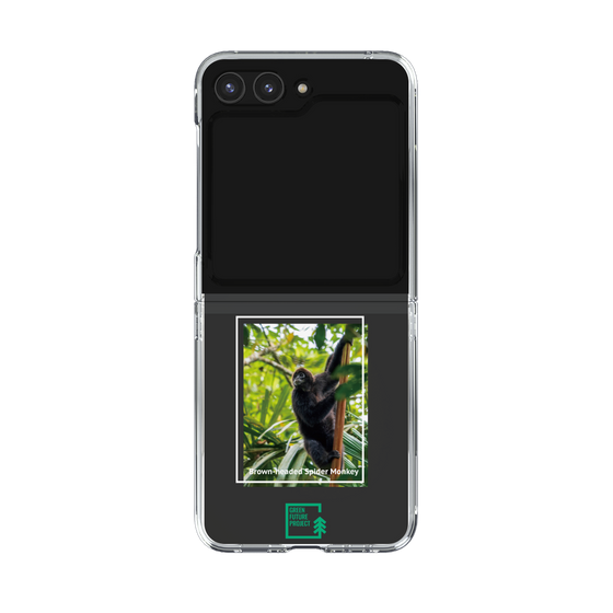 Clear Case［ Green Future Project - Brown-headed Spider Monkey ］