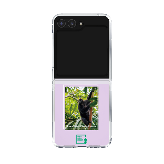 Clear Case［ Green Future Project - Brown-headed Spider Monkey ］