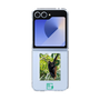 Clear Case［ Green Future Project - Brown-headed Spider Monkey ］