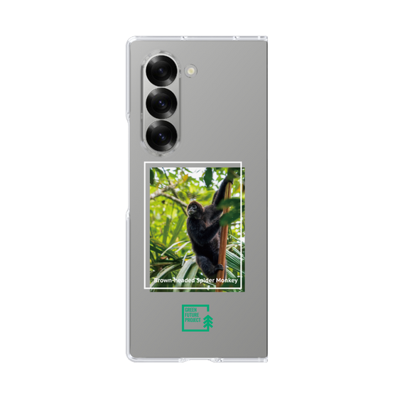 Clear Case［ Green Future Project - Brown-headed Spider Monkey ］