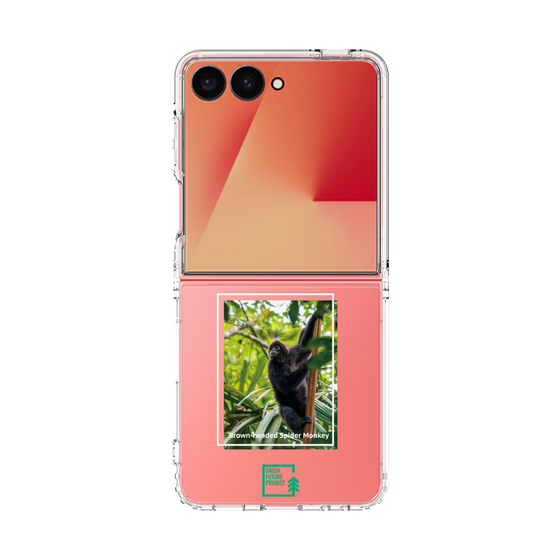 Clear Case［ Green Future Project - Brown-headed Spider Monkey ］