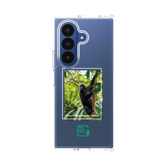 Clear Case［ Green Future Project - Brown-headed Spider Monkey ］