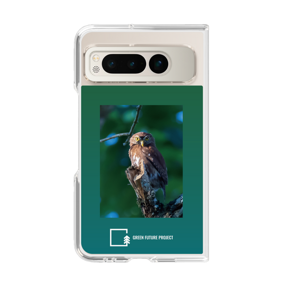 Clear Case［ Green Future Project - Ferruginous Pygmy Owl ］