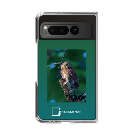 Clear Case［ Green Future Project - Ferruginous Pygmy Owl ］