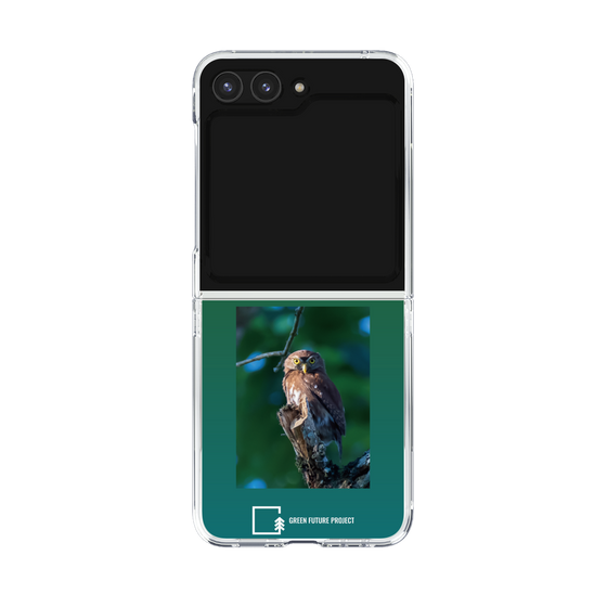 Clear Case［ Green Future Project - Ferruginous Pygmy Owl ］