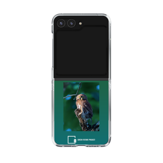 Clear Case［ Green Future Project - Ferruginous Pygmy Owl ］