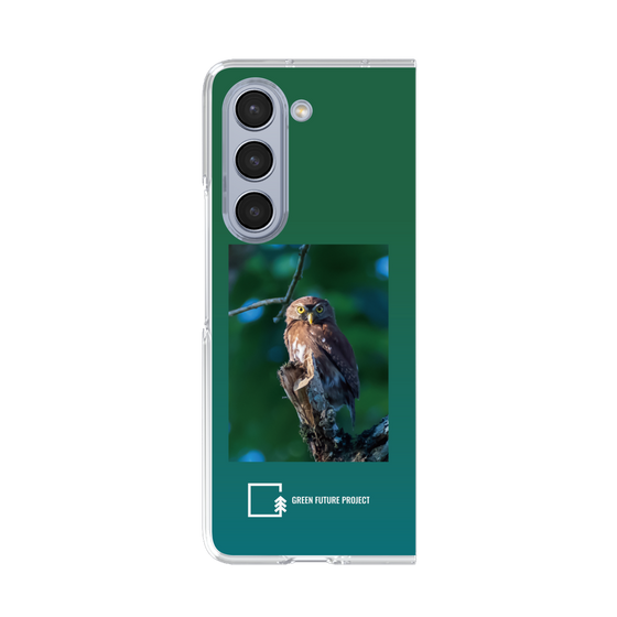 Clear Case［ Green Future Project - Ferruginous Pygmy Owl ］