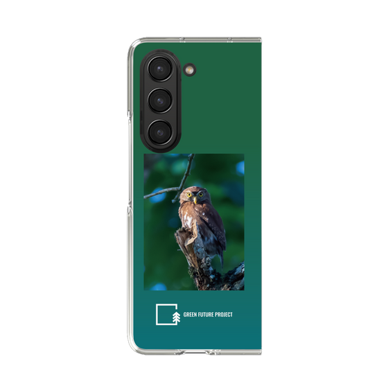 Clear Case［ Green Future Project - Ferruginous Pygmy Owl ］